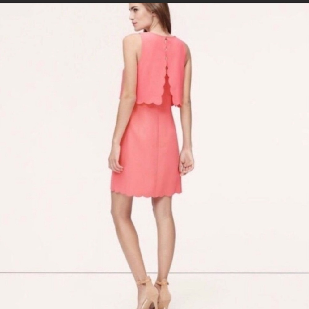 Loft Pink Dress - Picture 3 of 3